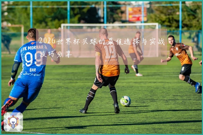 2026世界杯买球的最佳选择与实战技巧分享