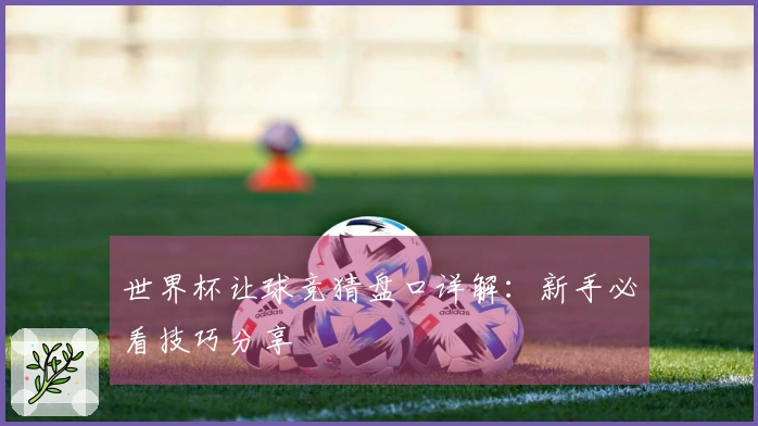 世界杯让球竞猜盘口详解：新手必看技巧分享