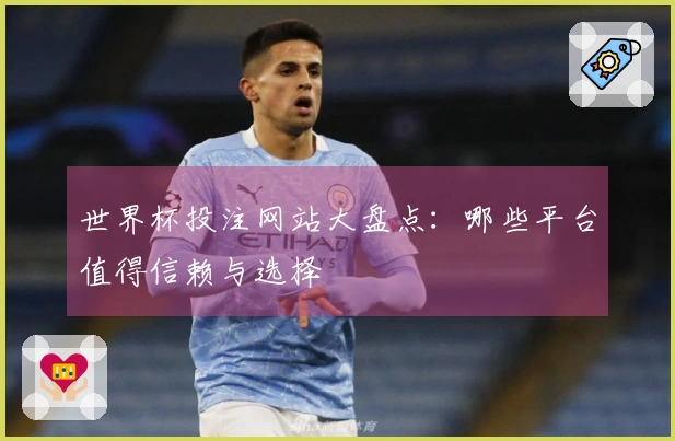 世界杯投注网站大盘点：哪些平台值得信赖与选择