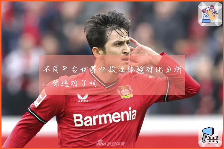 不同平台世界杯投注体验对比分析，你选对了吗