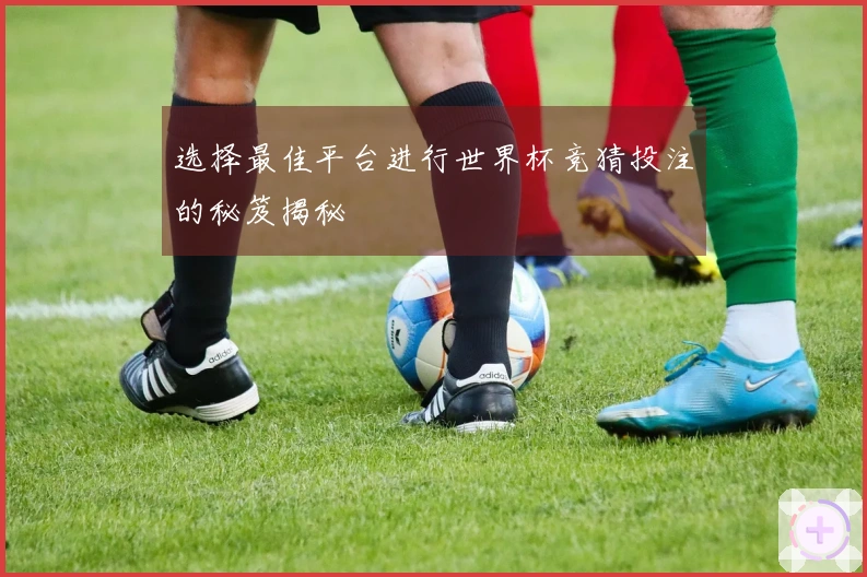 选择最佳平台进行世界杯竞猜投注的秘笈揭秘