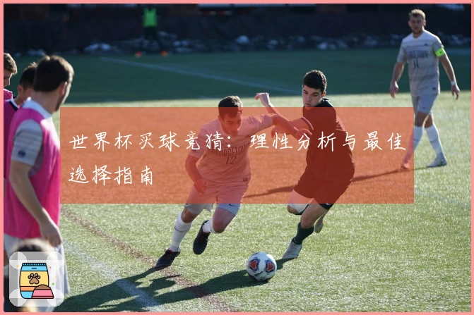 世界杯买球竞猜：理性分析与最佳选择指南