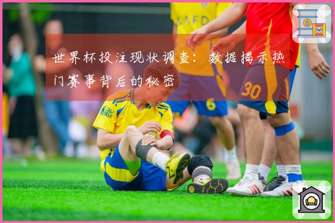 世界杯投注现状调查：数据揭示热门赛事背后的秘密