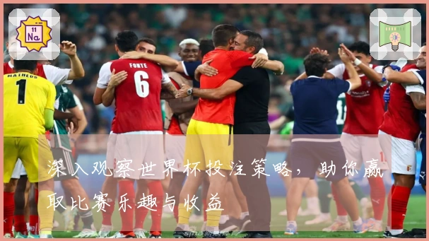 深入观察世界杯投注策略，助你赢取比赛乐趣与收益