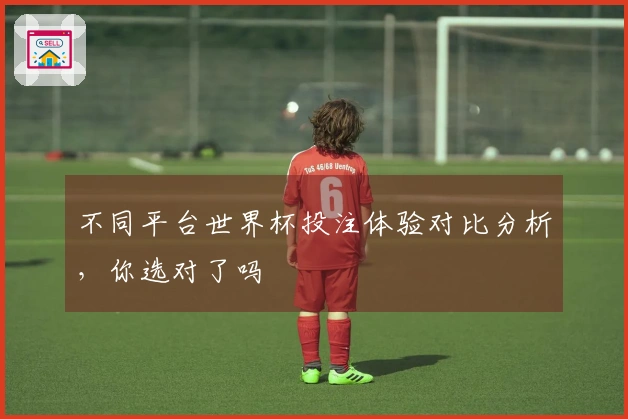 不同平台世界杯投注体验对比分析，你选对了吗