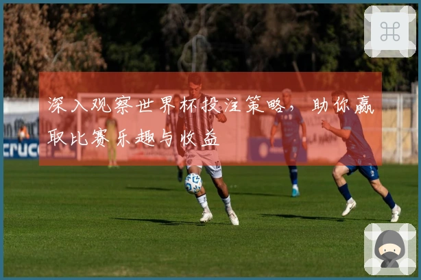 深入观察世界杯投注策略，助你赢取比赛乐趣与收益