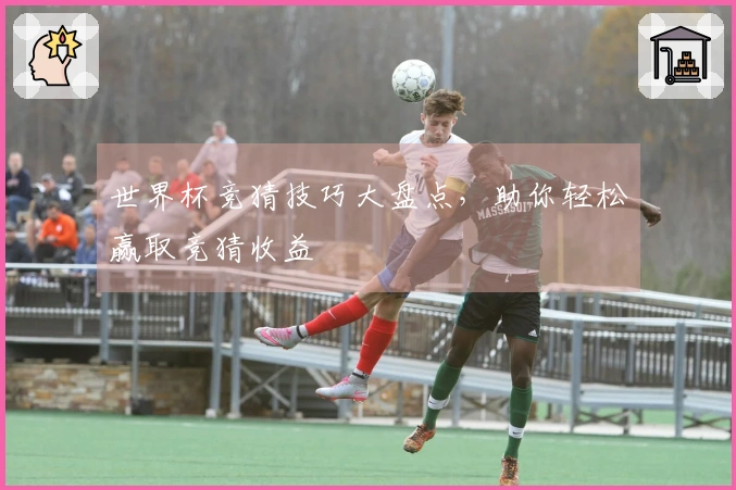 世界杯竞猜技巧大盘点，助你轻松赢取竞猜收益